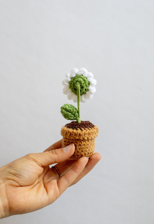 Crocheted daisy white green plant